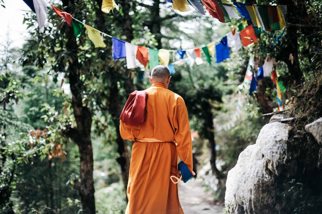 A monk walks beneath the trees shadow, read a lessor known facts about Buddha