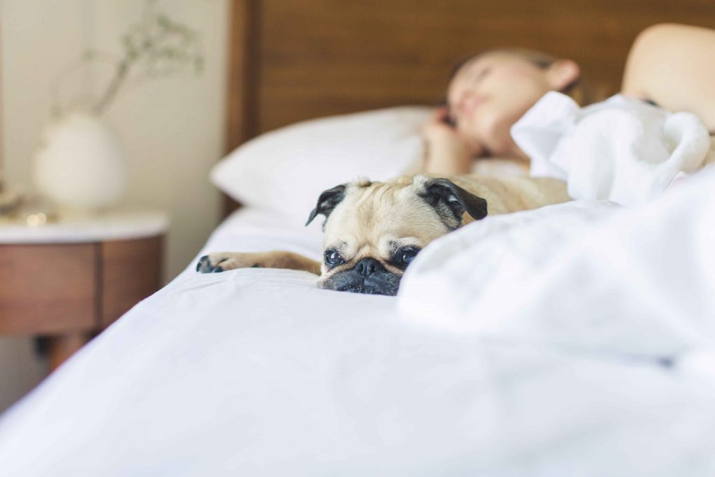  woman sleeping with dog in bedroom- photo by pexels.loveyoufamily.com