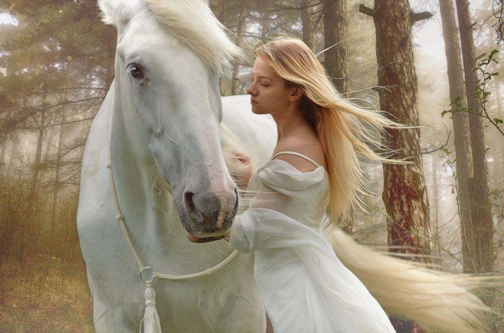 Adorable Horse-Pix-Pixabay LoveYouFamily.com