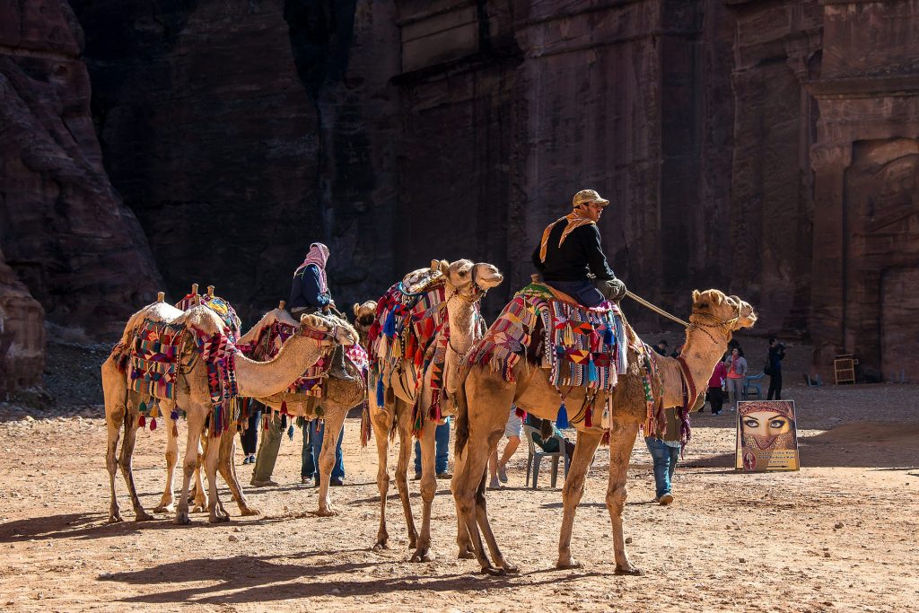 People Riding On Camel The King of Desert-Pix-Pixabay
LoveYouFamily.com